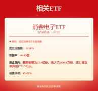 德赛西威获得发现专利授权：“一种车载使用系